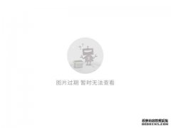 夯实数字化发展的“网络底座”